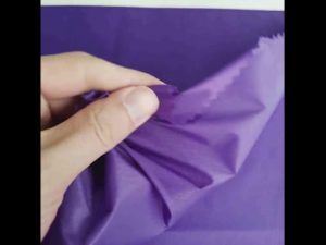 china professional silicone coated nylon taffeta ripstop fabric